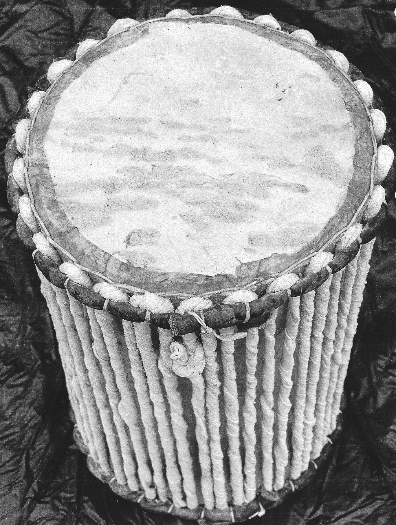  emblem