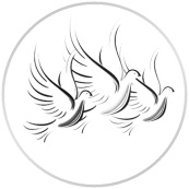  emblem