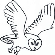 Emblem 3