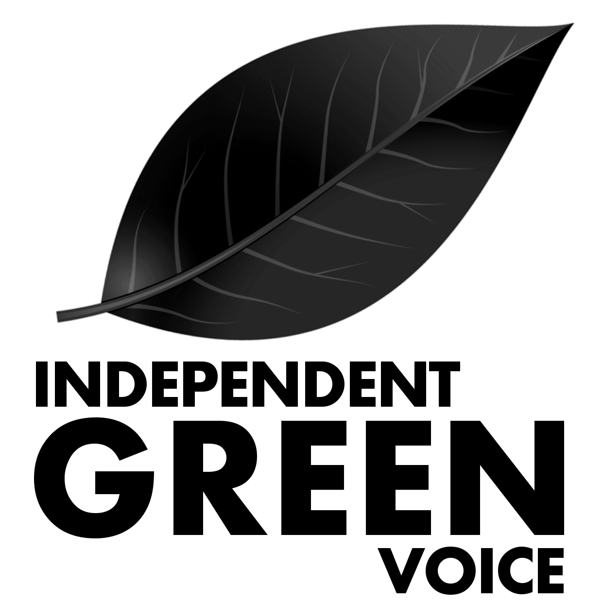 IGV Leaf Logo