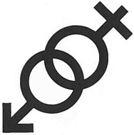 emblem 2