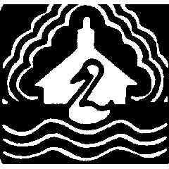 Swan on river in front of house with a tree behind