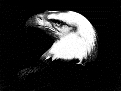 Emblem 2